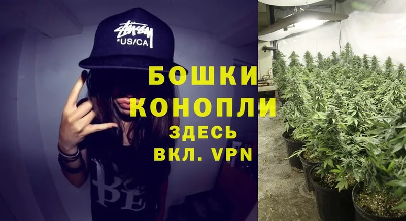 Марихуана THC 21%  Сердобск 